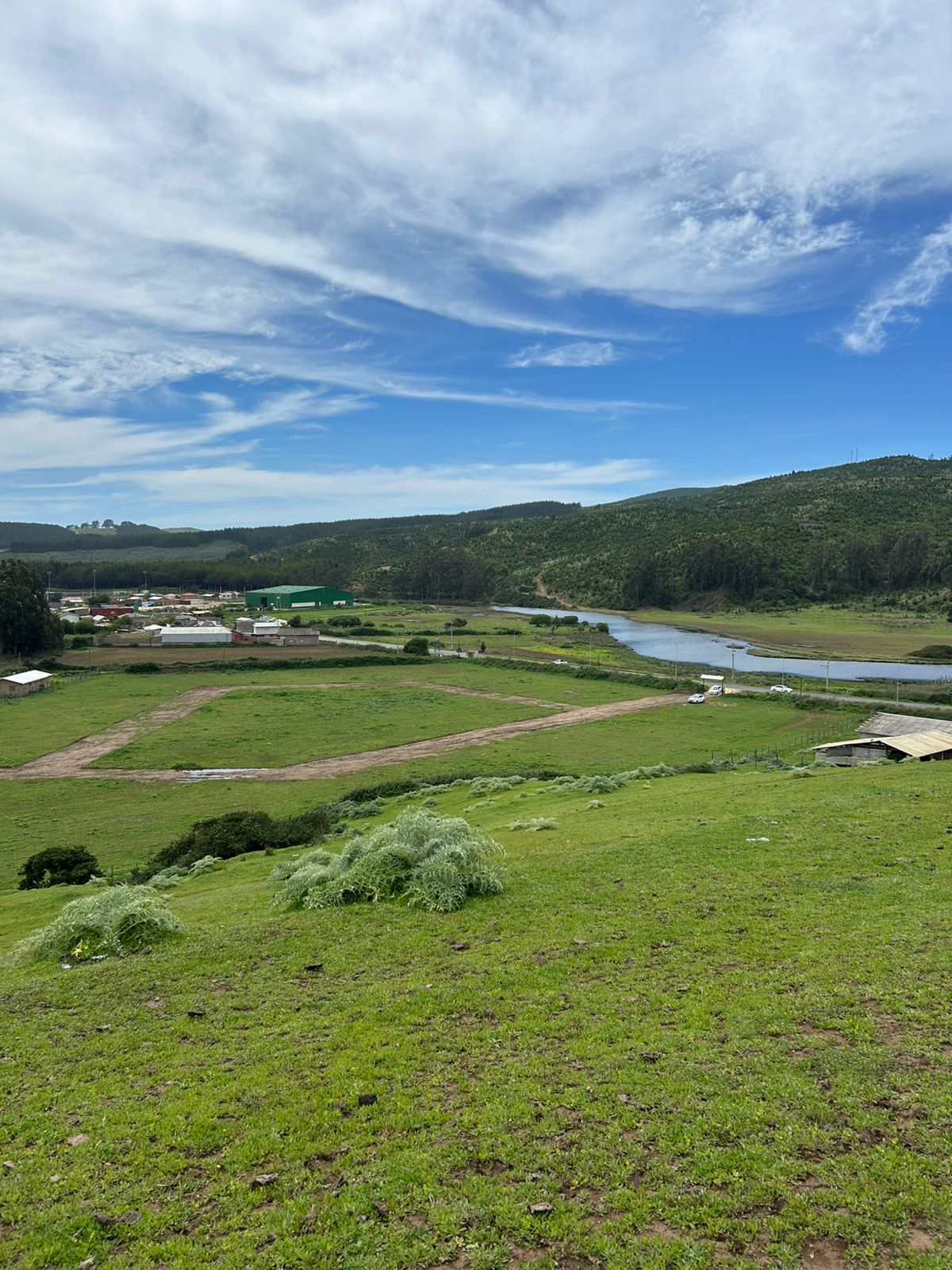 Vista del terreno