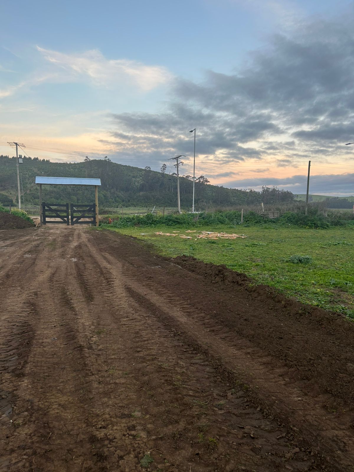 Vista del terreno